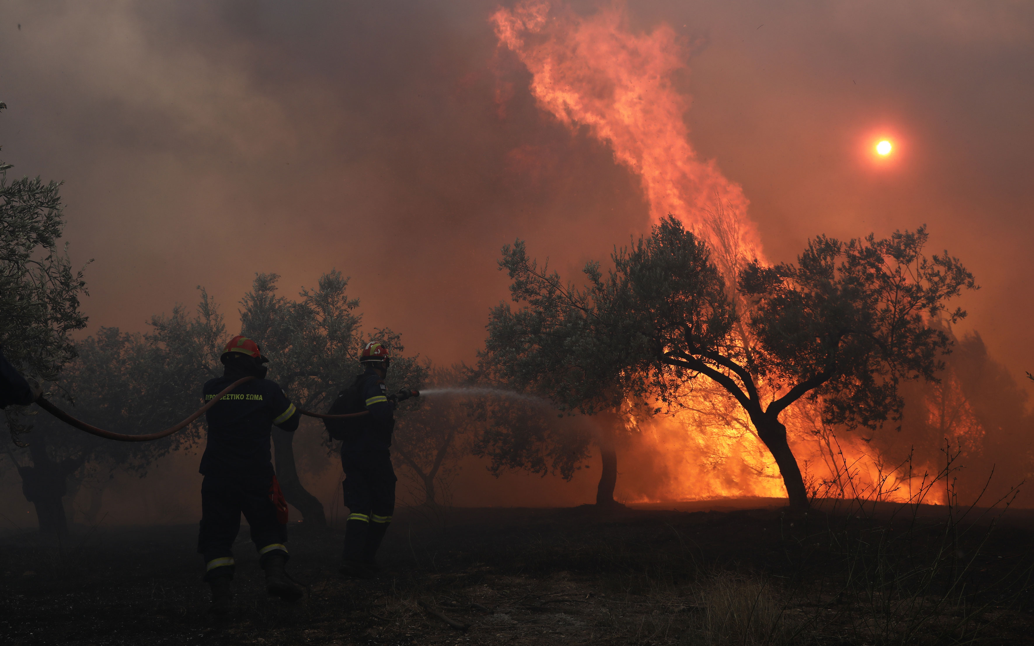 Μαίνεται η φωτιά στις Κεχριές – Ισχυρές δυνάμεις στο σημείο (φωτογραφίες)-2