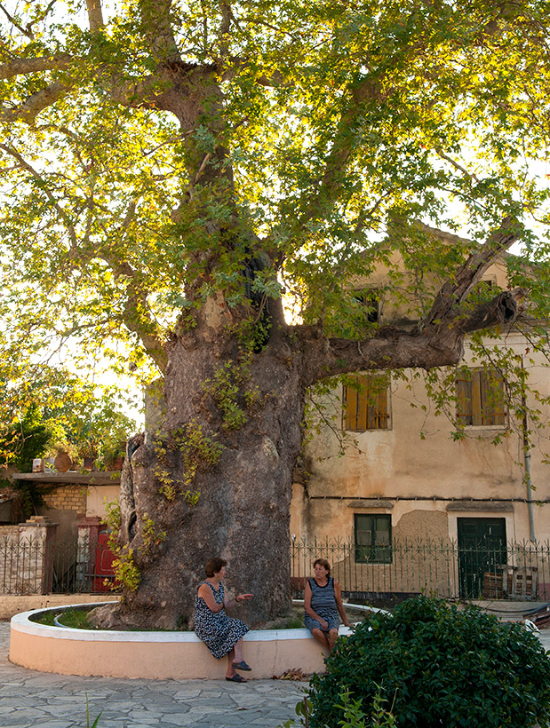 Στα μονοπάτια της Κέρκυρας-1