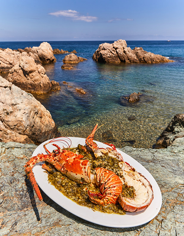 Νέα συλλεκτική έκδοση: «Η καλοκαιρινή Κουζίνα του Αγίου Όρους από τον Μοναχό Επιφάνιο»-3