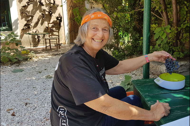 Δοκιμάσαμε το Σαββατιανό Μάτσα 2019-1