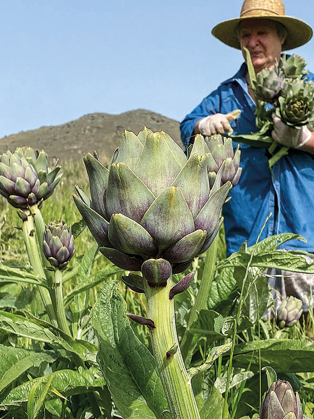 Τήνος της φύσης και των ανθρώπων-4