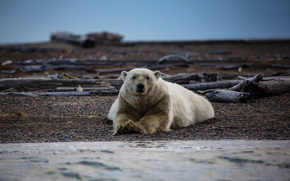 Το “Κ” / “ΤΑΞΙΔΙΑ”, αυτή την Κυριακή, οι Έλληνες γνωρίζουν τα μυστικά της ιστιοπλοΐας-5