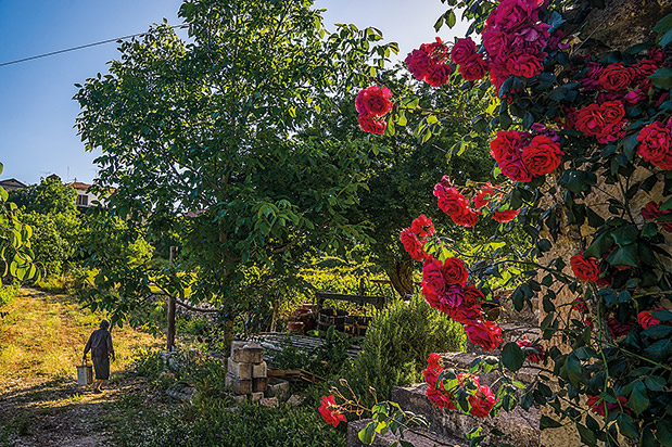 Η Ζάκυνθος έχει ακόμα μυστικά-1
