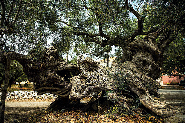 Η Ζάκυνθος έχει ακόμα μυστικά-2