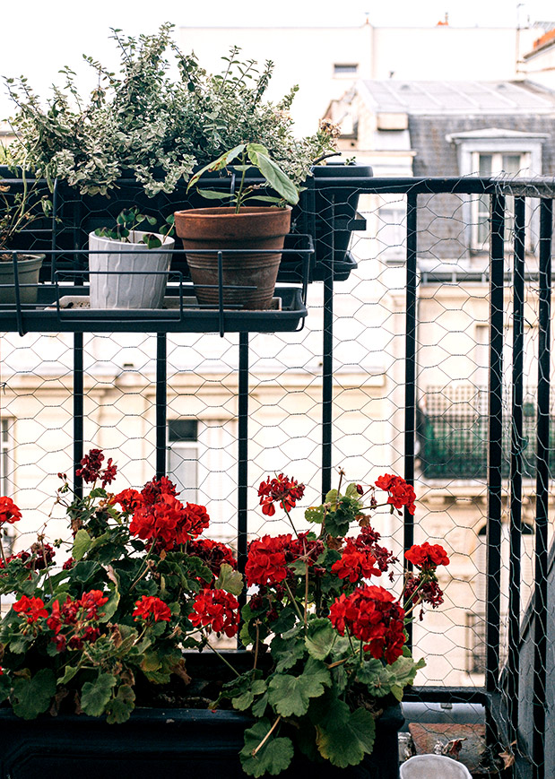 Διακόσμηση Μπαλκονιού-1