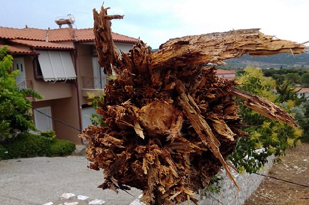 Καλοκαιρινό μπουρίνι ξήλωσε κολώνες της ΔΕΗ στο Λυγουριό (φωτογραφίες)-2