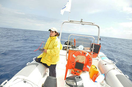 Το «Αρχιπέλαγος» φροντίζει τα θηλαστικά του Αιγαίου-1