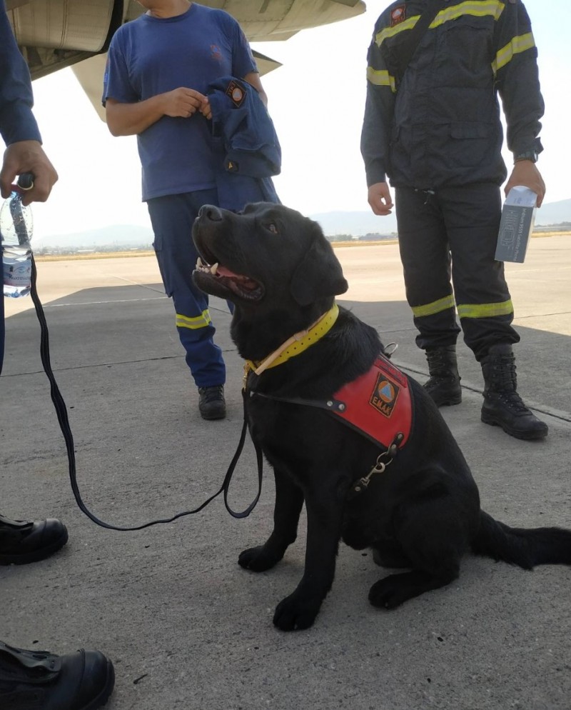 Στον Λίβανο μεταβαίνει ομάδα της ΕΜΑΚ (φωτογραφίες)-2