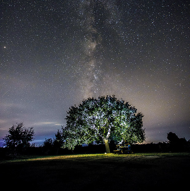 Εμπειρίες πολλών αστέρων-2