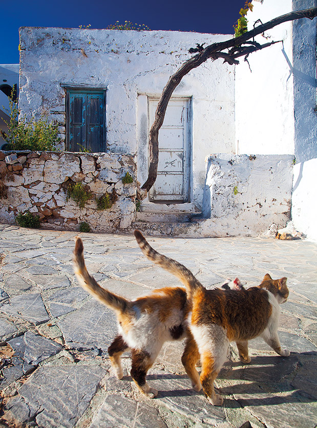 Διακοπές μακριά από τον κόσμο-3