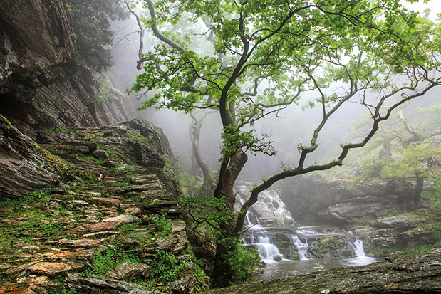 Εύβοια, η περιζήτητη αυτού το καλοκαιριού-1