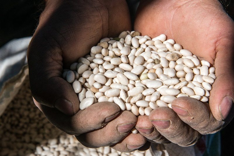 Τα «μαργαριτάρια» του Φενεού-5