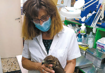 Ενα νανοβουτηχτάρι στο «Χίλτον», μια ιστορία διάσωσης από την Anima-1