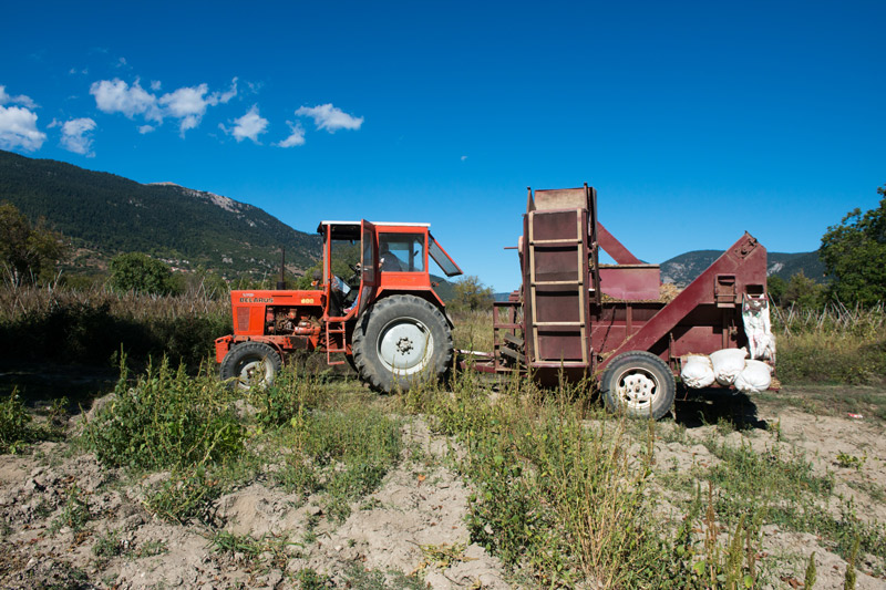Τα «μαργαριτάρια» του Φενεού-4