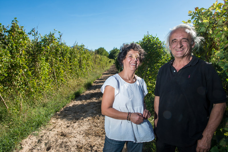 Τα «μαργαριτάρια» του Φενεού-3