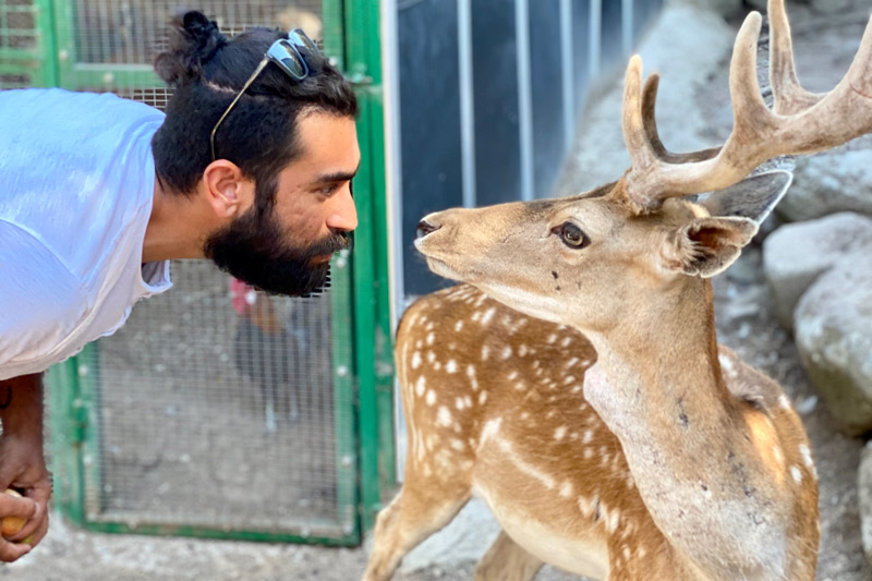 Ο αμύθητος γαστρονομικός πλούτος της Λέσβου-2