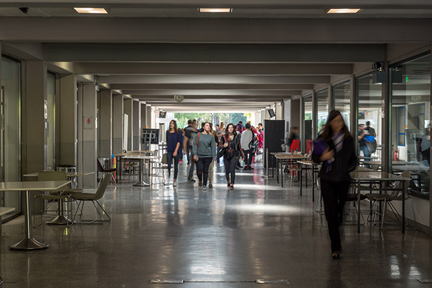 Περιβαλλοντικές Σπουδές στο Deree – The American College of Greece: Ένα πρόγραμμα ιδιαίτερης σημασίας για την εποχή μας-2