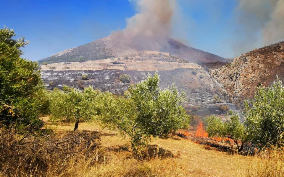 Μυκήνες: Η πυρκαγιά δεν προξένησε ζημιές στις αρχαιότητες-2