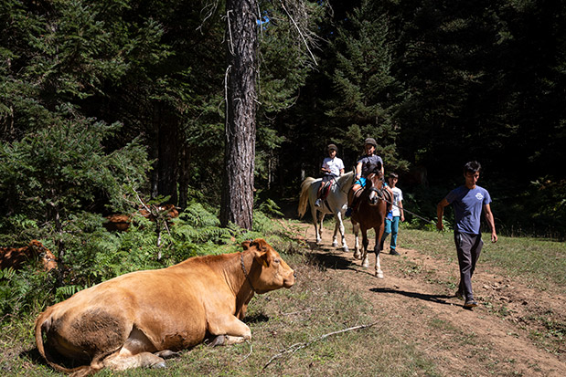 Ασπροπόταμος: Ποιμενικό Ροκ-1