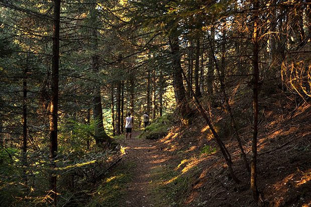 Ασπροπόταμος: Ποιμενικό Ροκ-2