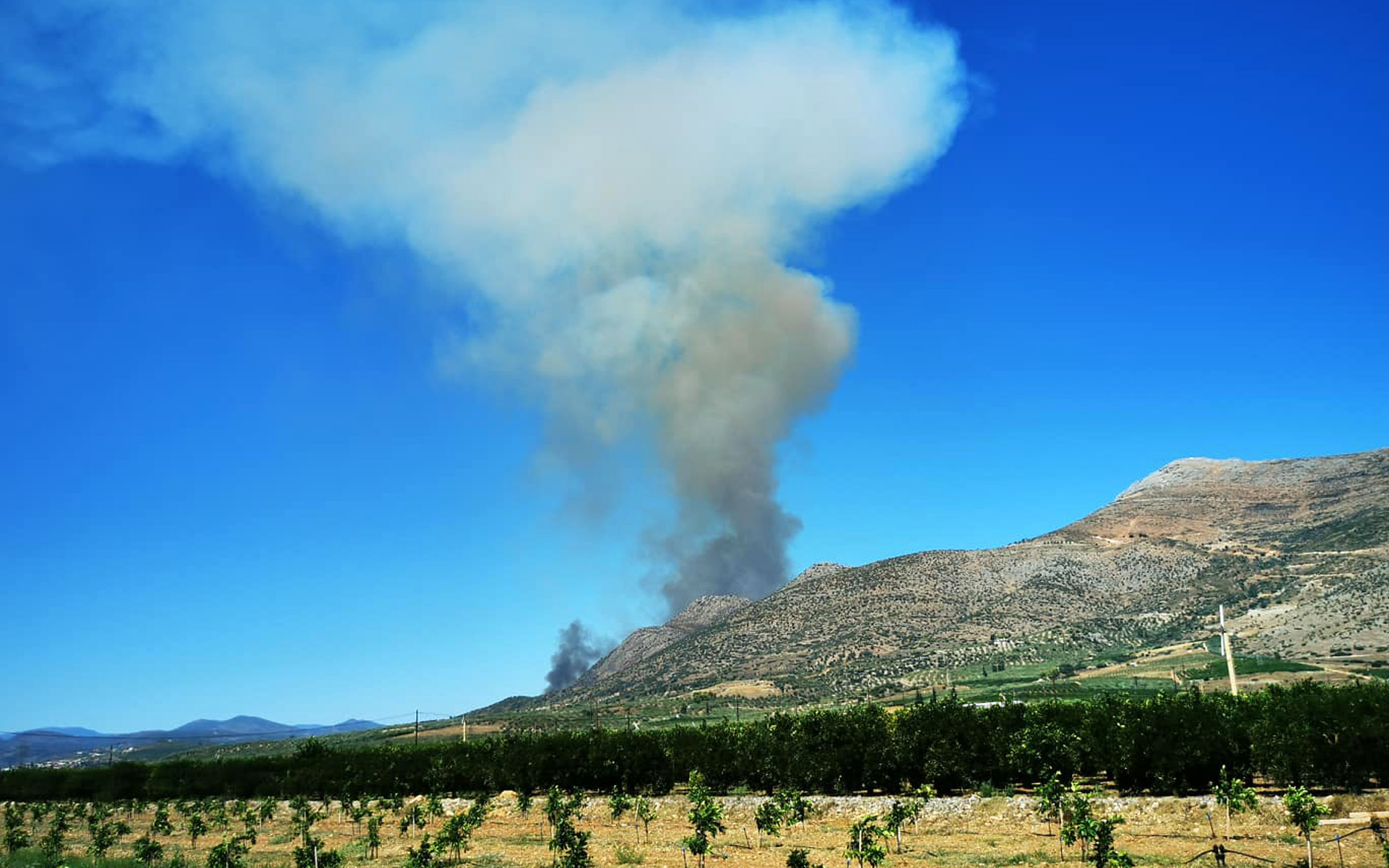 Φωτογραφίες από την πυρκαγιά στις Μυκήνες – Πέρασε μέσα από τον αρχαιολογικό χώρο η φωτιά-3