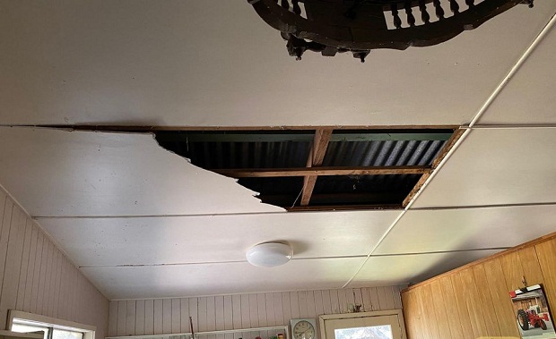 Αυστραλία: Αρσενικά φίδια προσγειώνονται σε κουζίνα μαλώνοντας για θηλυκό (φωτογραφίες)-1