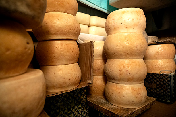 Ασπροπόταμος: Ποιμενικό Ροκ-5