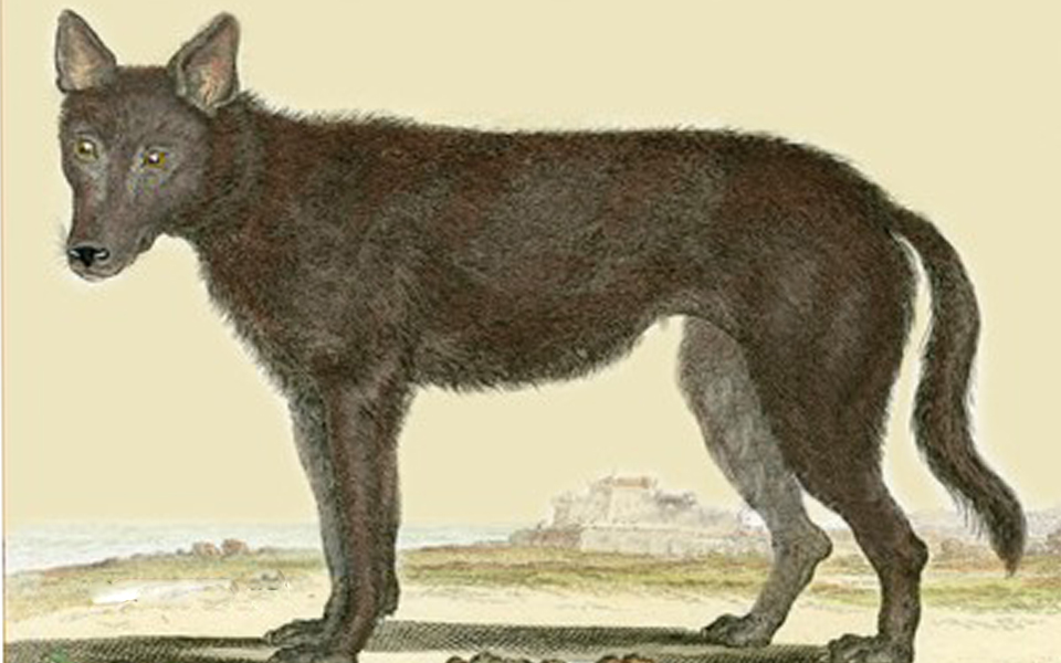 το-δύσκολο-μονοπάτι-του-αυτοπροσδιορ-2001980