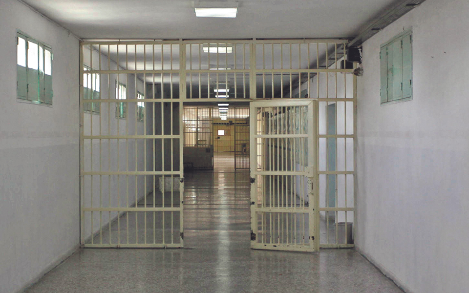 zωή-και-kορυδαλλός-2002390