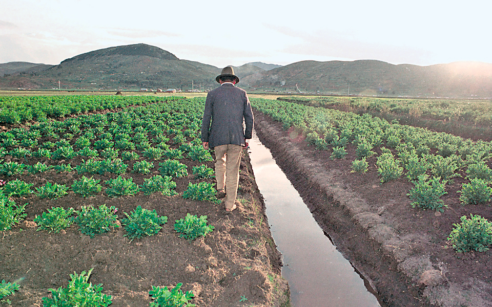ευρωπαϊκός-κανονισμός-για-τη-χρήση-γε-2003064