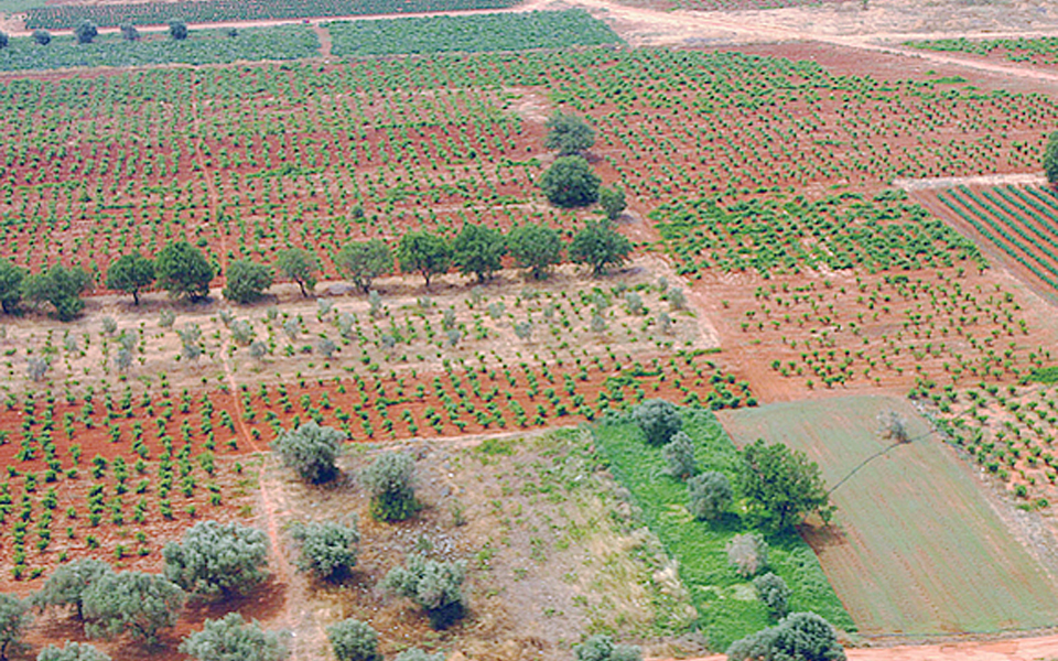 δυνατότητα-άρσης-απαλλοτρίωσης-μετά-2003110