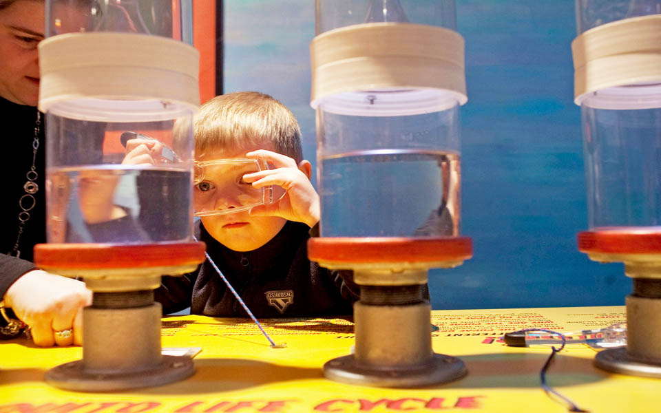 χάλασε-φτιάξ-το-2003925