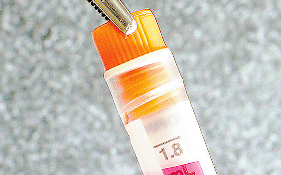 καινοτόμος-μέθοδος-για-βλαστοκύτταρ-2003986