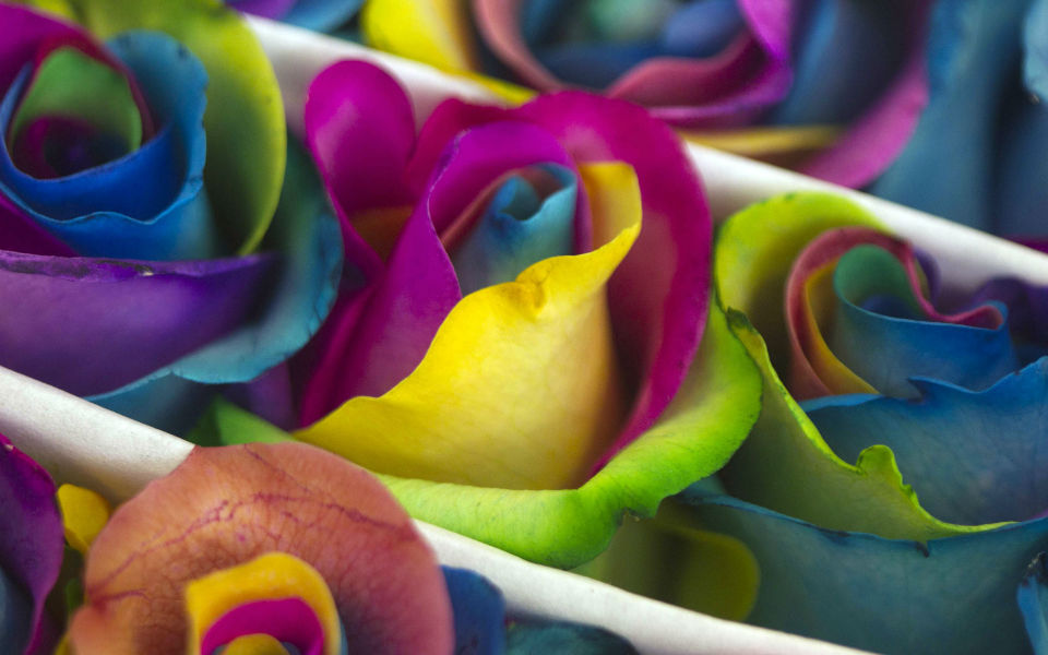 φωτογραφήματα-2003893