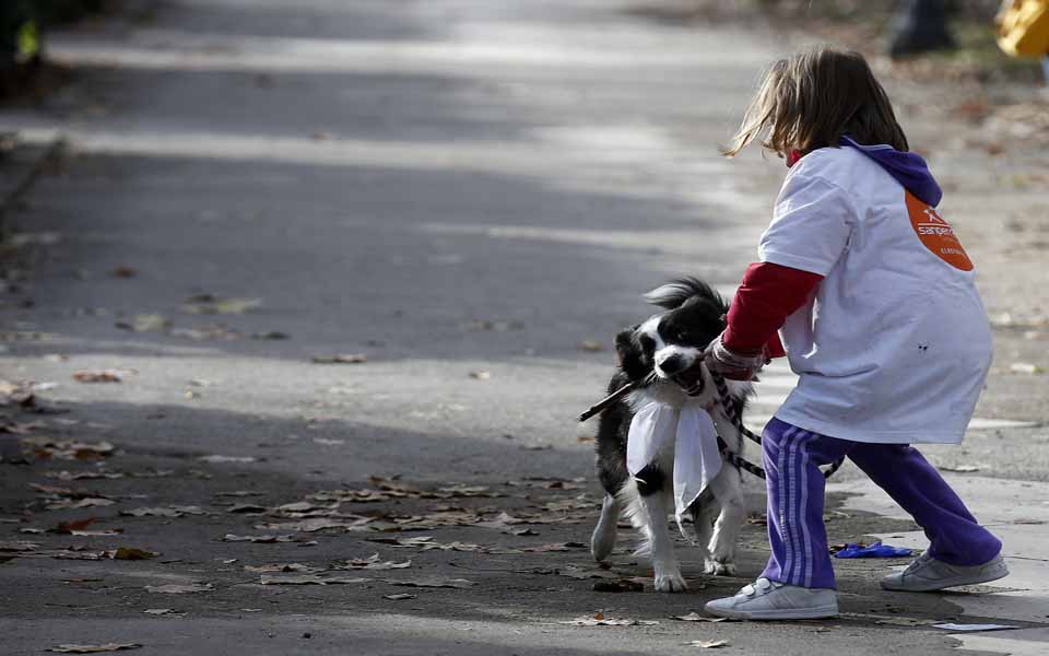 παρέα-με-το-σκύλο-μου-2001173