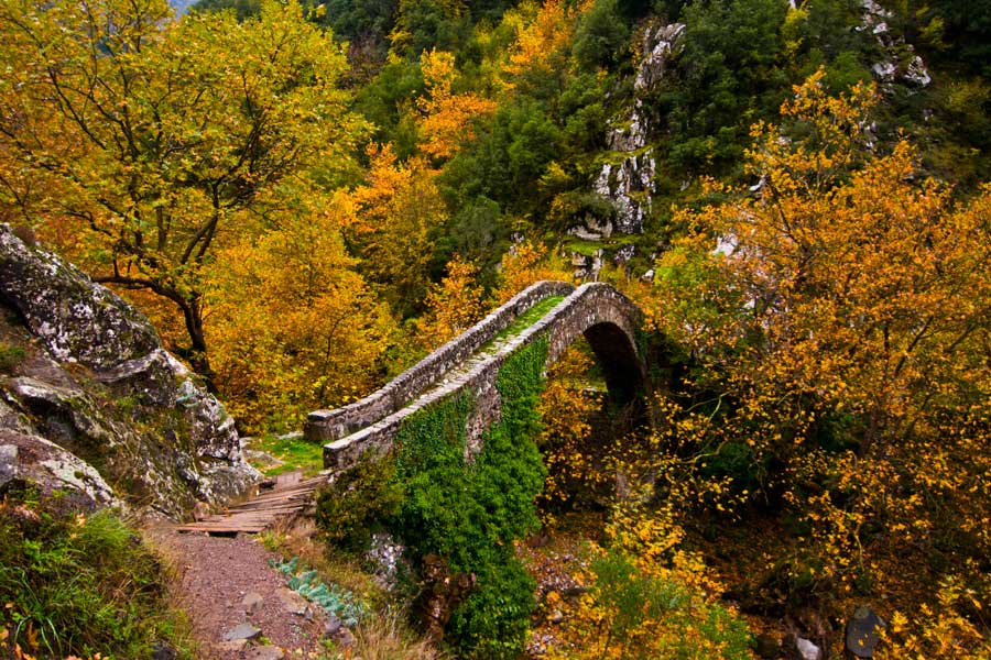 αγραφα-η-πρόκληση-του-αυθεντικού-2001651