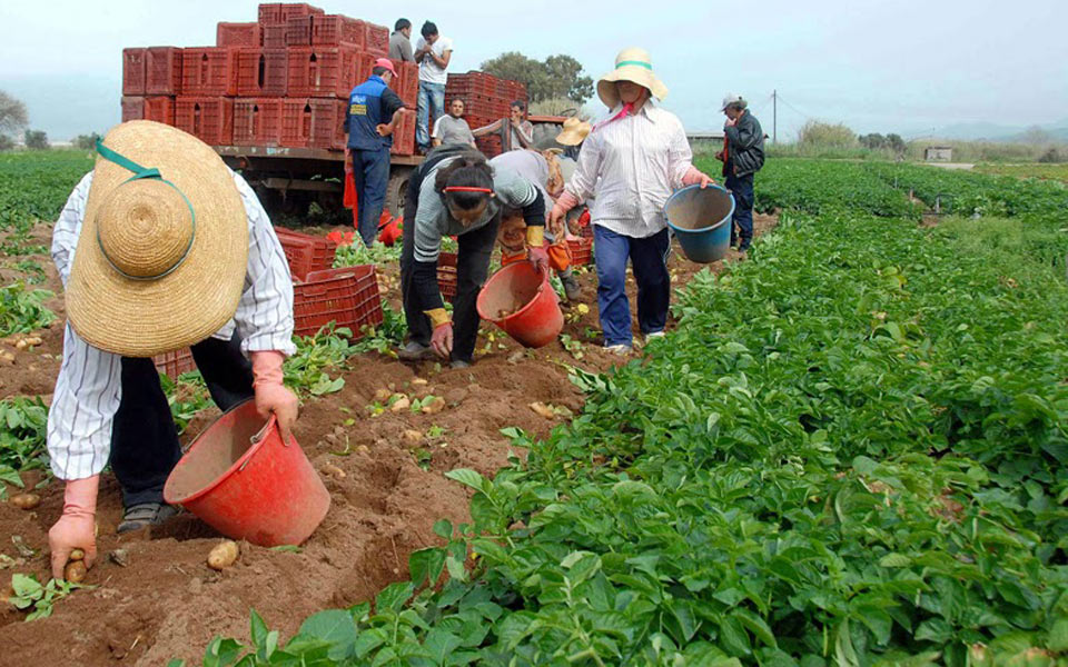 ποιοί-αγρότες-απαλλάσσονται-από-την-τ-2001760
