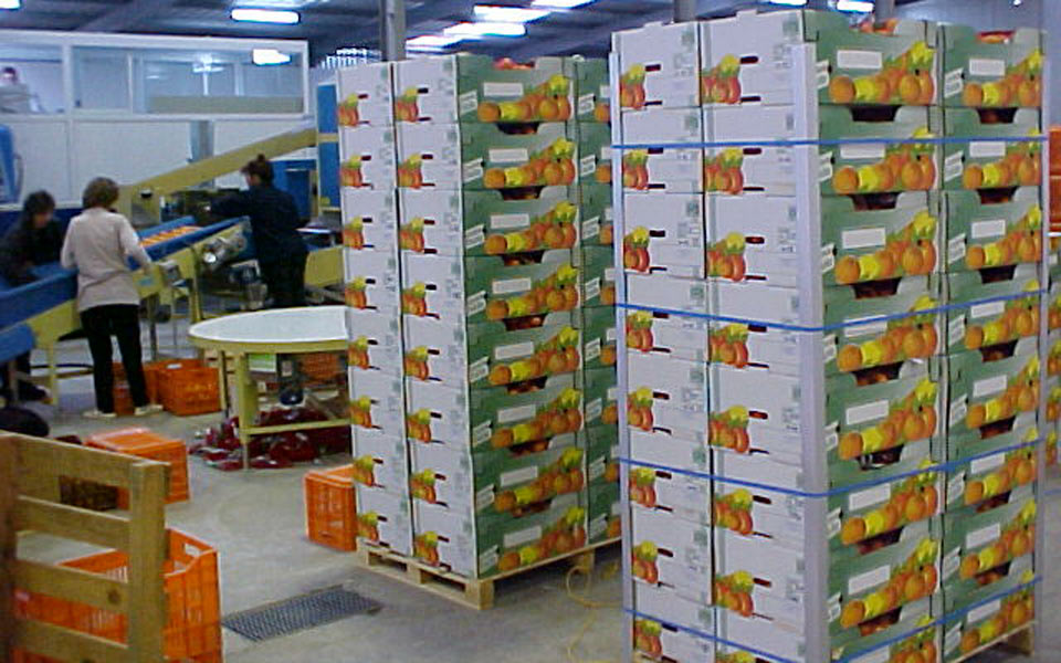 ελληνογερμανικό-επιμελητήριο-το-βερ-2003416