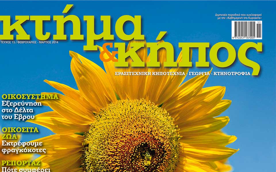kτήμα-kήπος-τεύχος-13-2002852