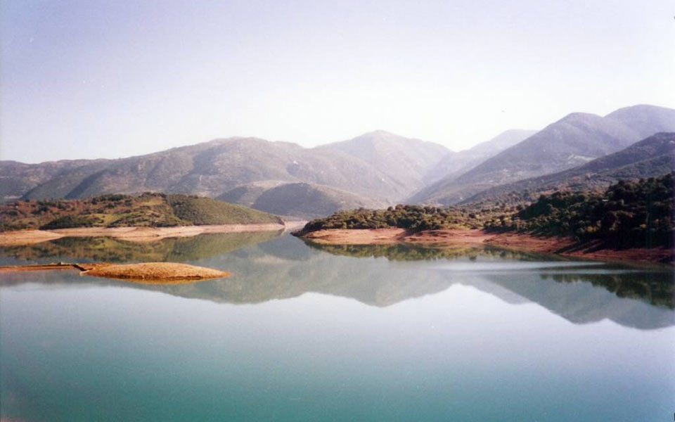 χιλιάδες-νεκρά-ψάρια-στη-λίμνη-λάδωνα-2001505