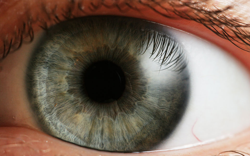 αργά-αντανακλαστικά-ίσον-αυξημένος-κ-2003981