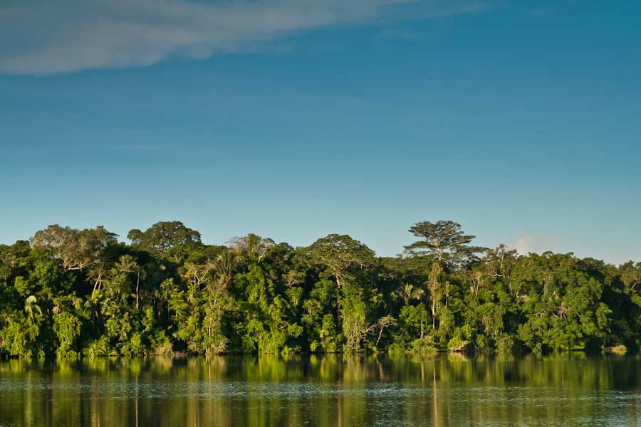 περουβιανή-αμαζονία-2001289