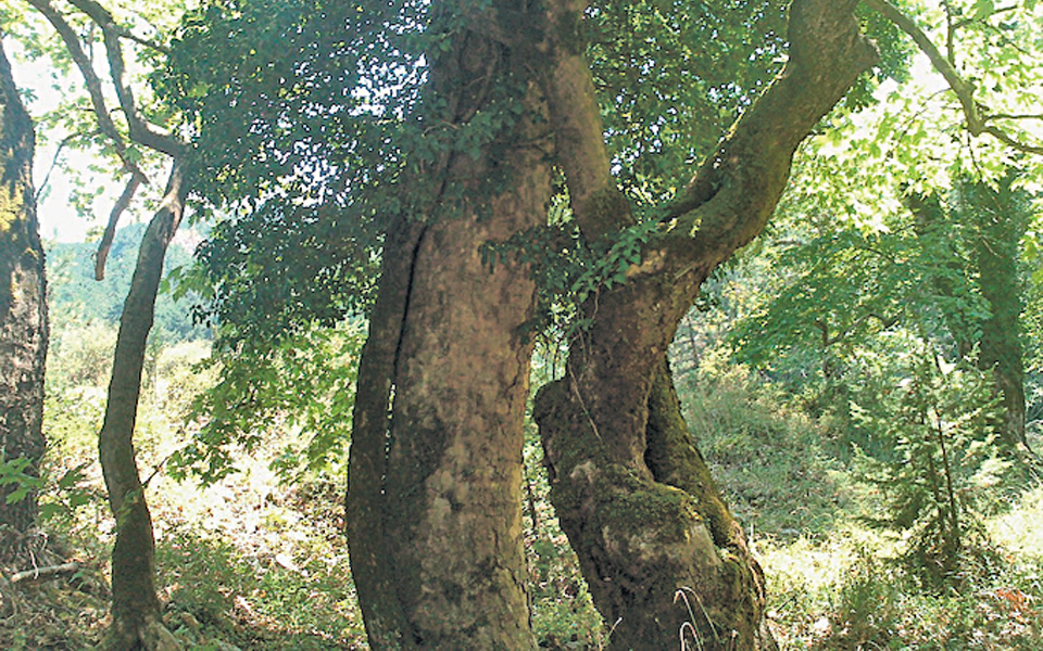 φωτεινές-εμπνεύσεις-2006649