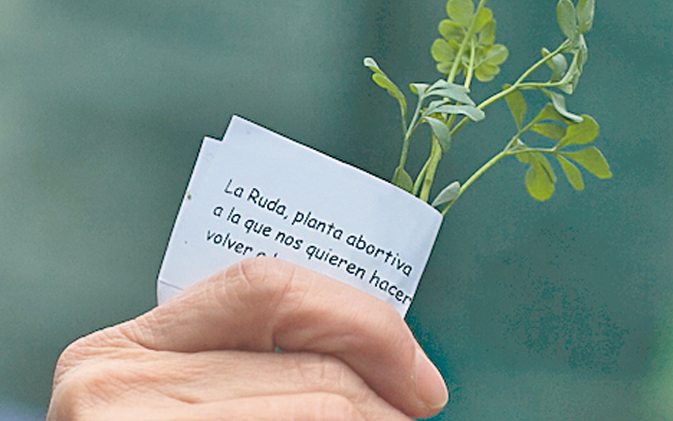 πύρρειος-νίκη-κατά-αμβλώσεων-στην-ισπ-2006600