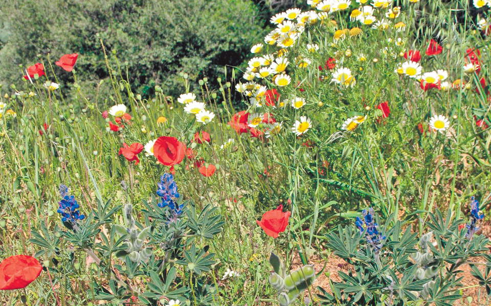 πορεία-μετ-εμποδίων-για-τη-βιοποικιλ-2008551