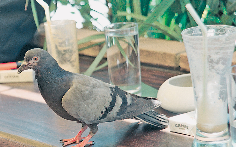 ελληνική-συνταγή-κατά-της-κρίσης-2008517