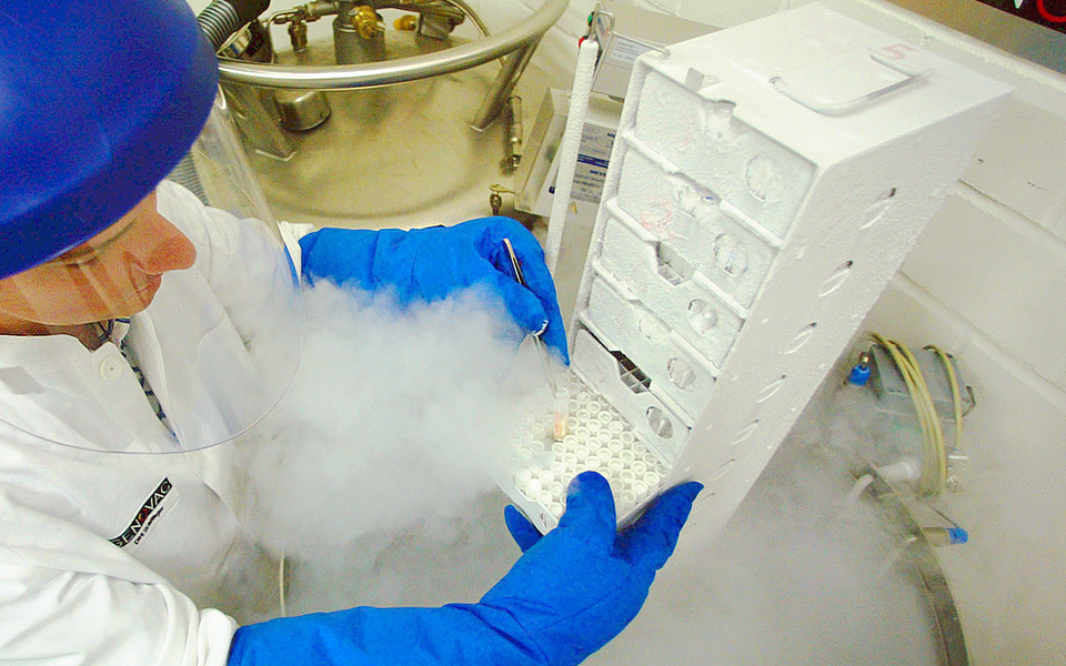 ο-σεξουαλικός-προσανατολισμός-επηρε-2008584