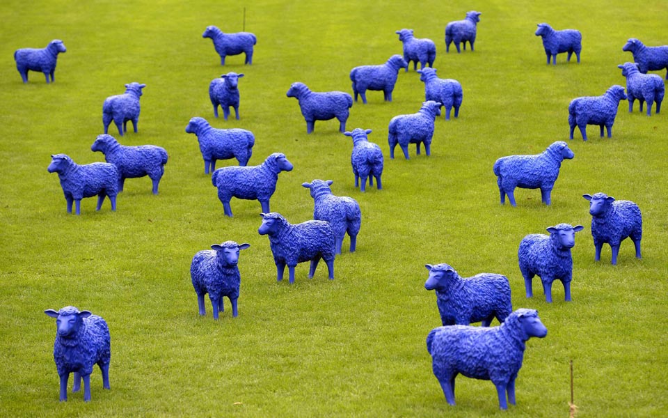 το-μπλε-κοπάδι-2005030