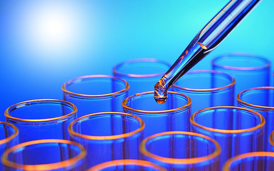 εθνικό-μαθητικό-κοινοβούλιο-το-μέλλ-2006290