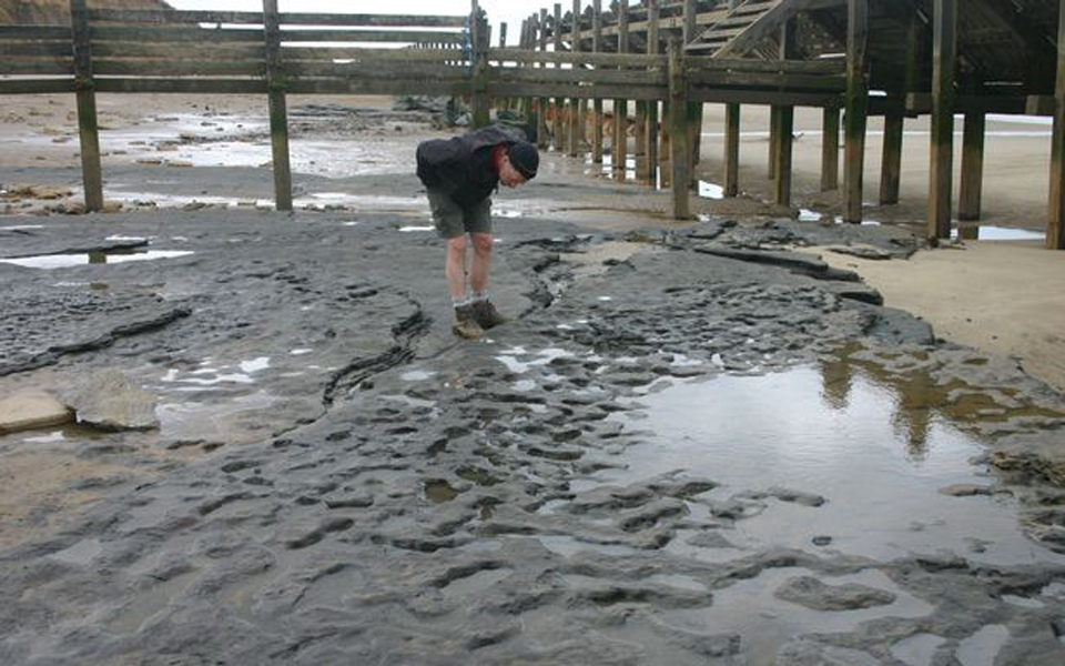 ανθρώπινα-πατήματα-800-000-χρόνων-στην-αγγλ-2005913